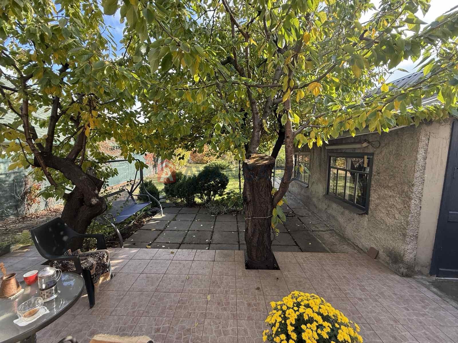 �������, 94 ��.�. ���� 15