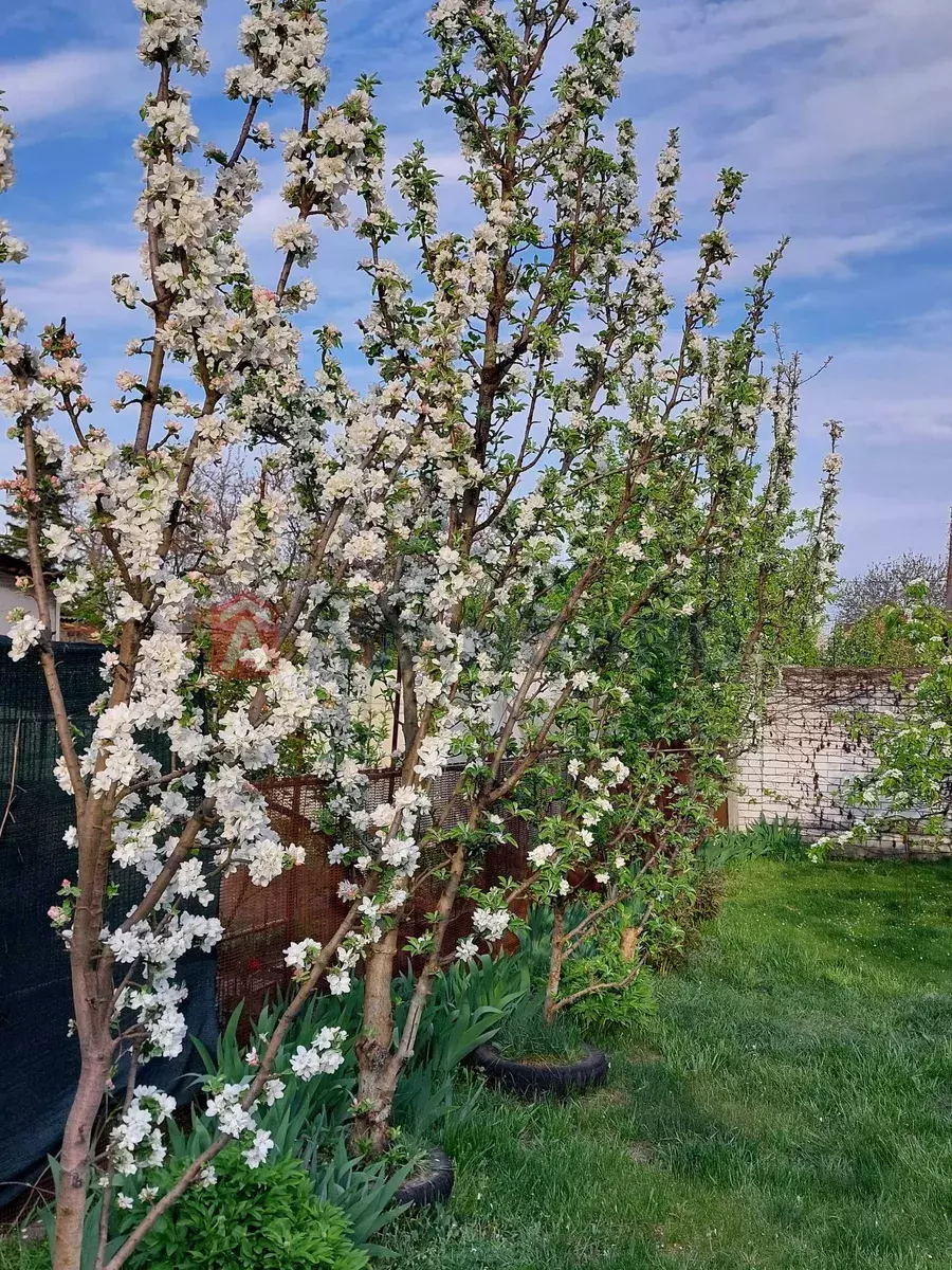 �������, 71 ��.�. ���� 10