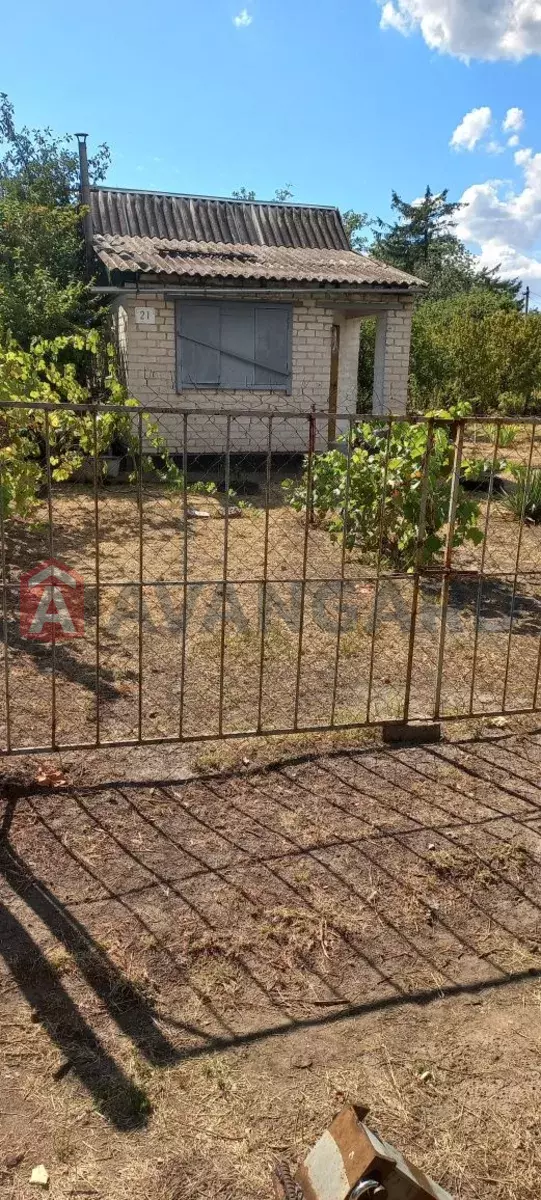 ����, 20 ��.�. ���� 5