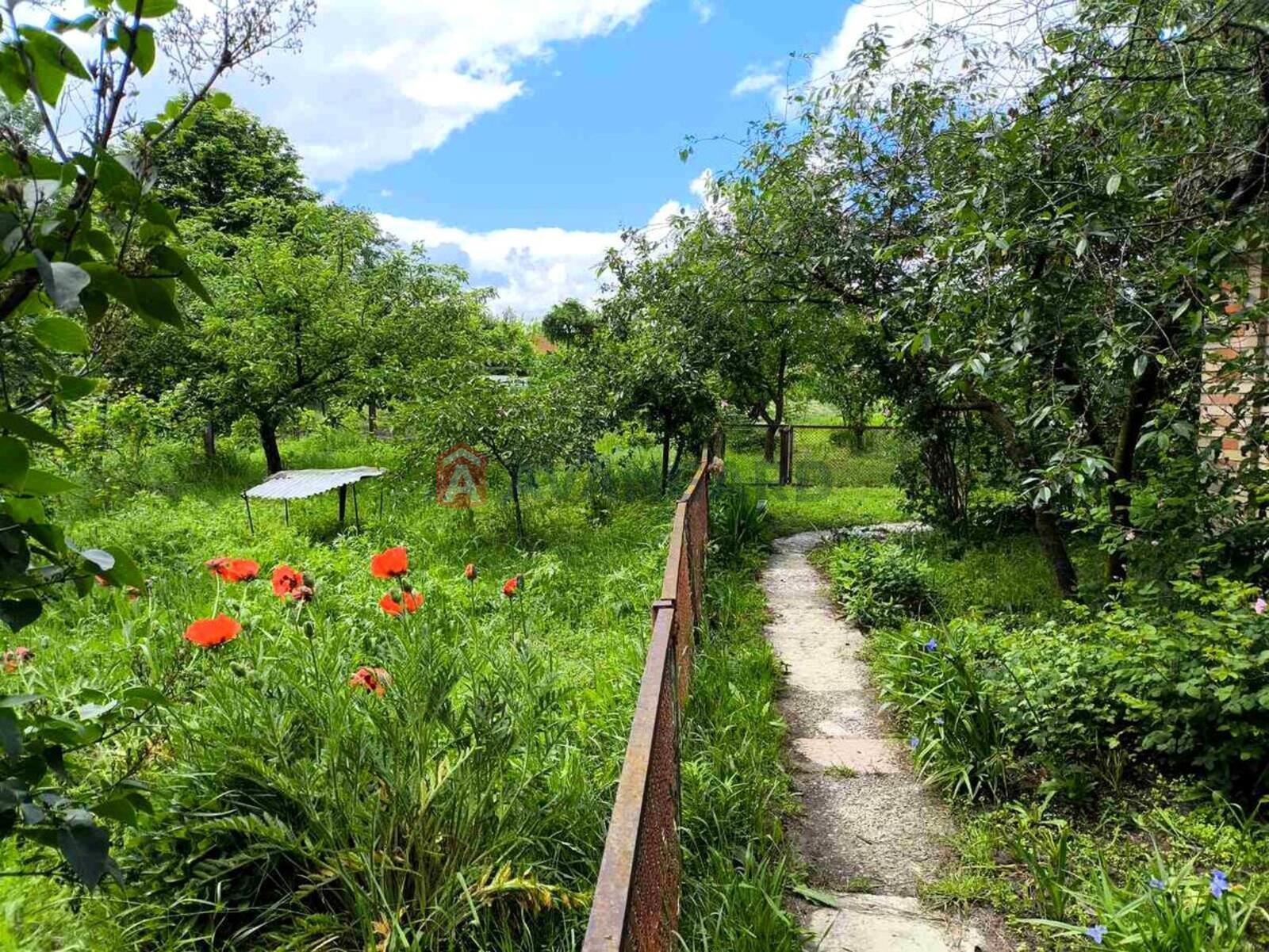 �������, 61 ��.�. ���� 5