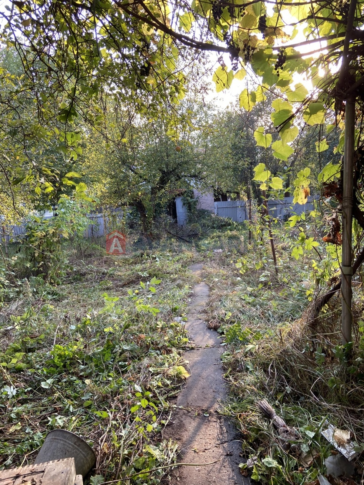 �������, 52 ��.�. ���� 3