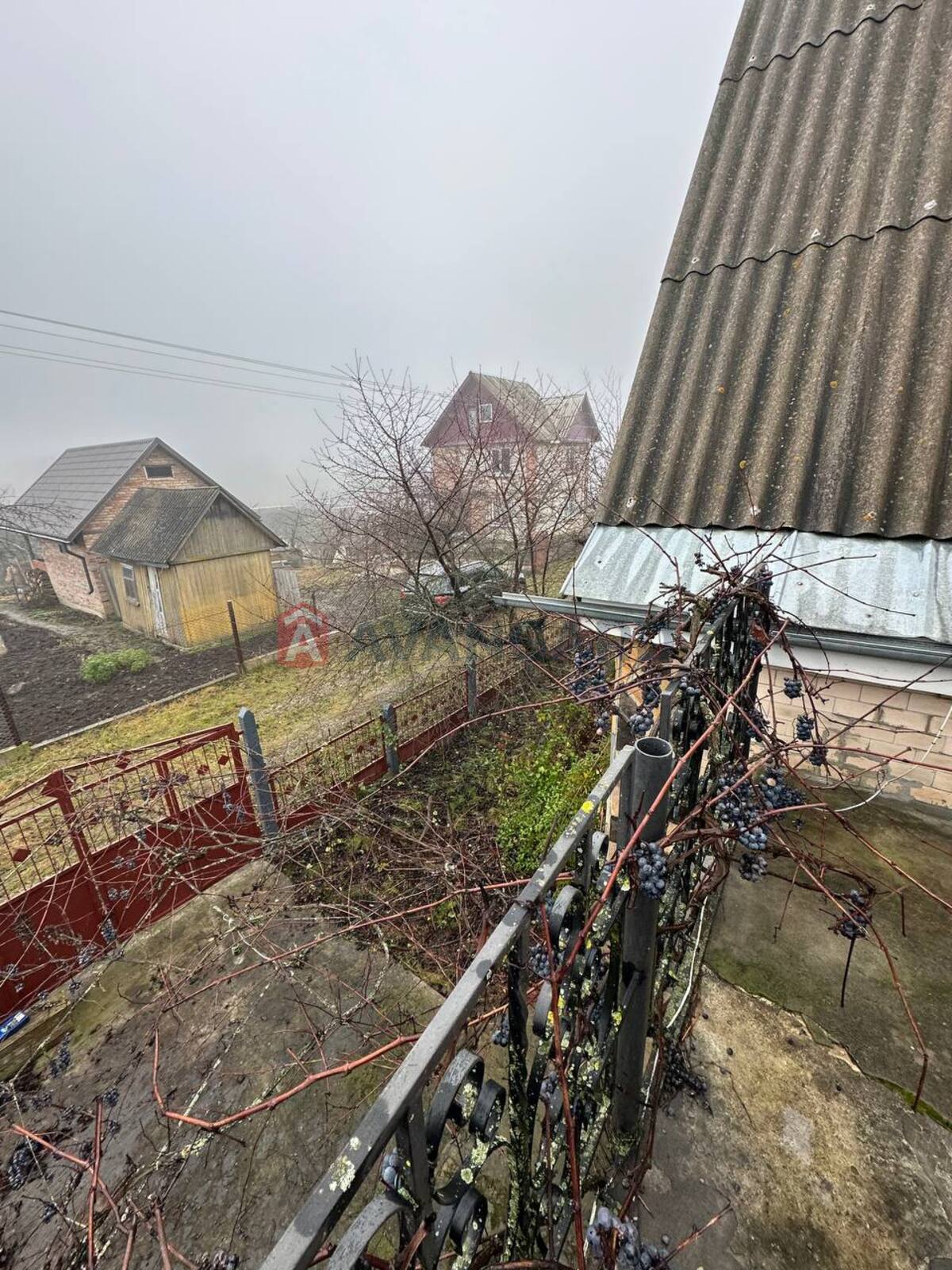 �������, 80 ��.�. ���� 7