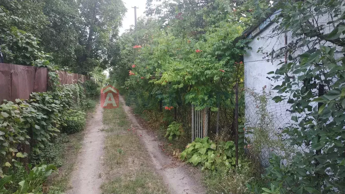 25 ��.�. ���� 6