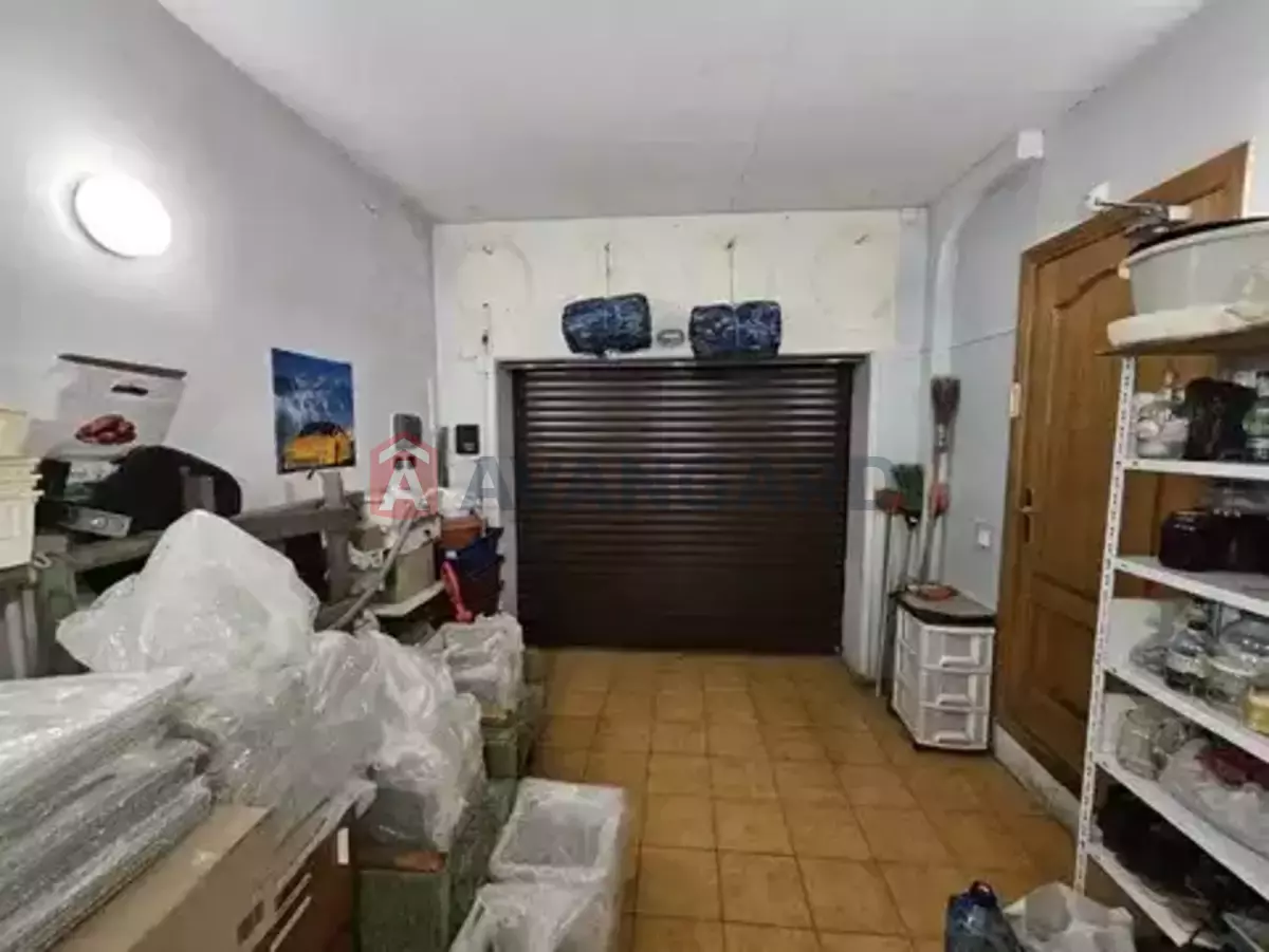 �������, 230 ��.�. ���� 12