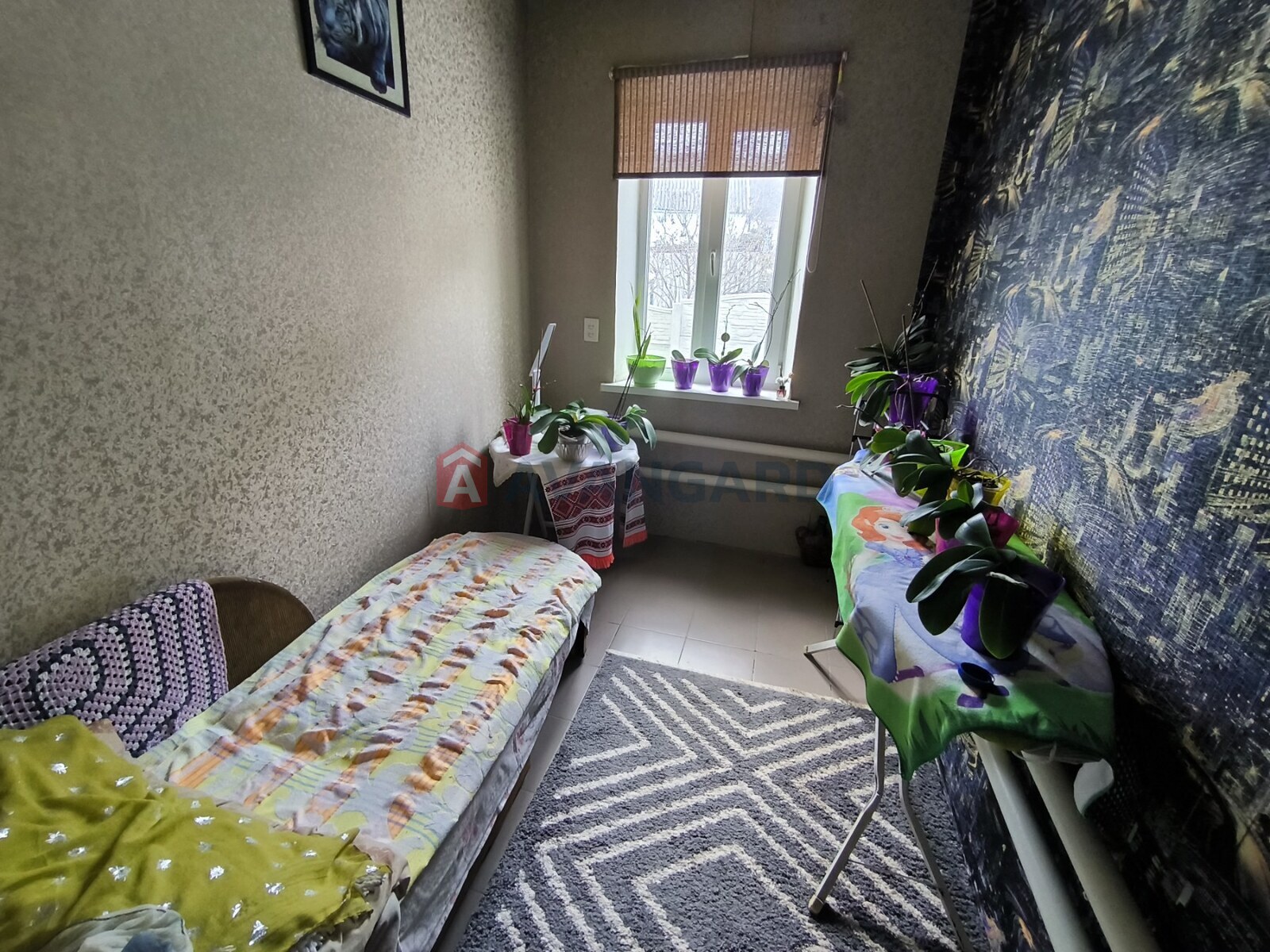 �������, 138 ��.�. ���� 10