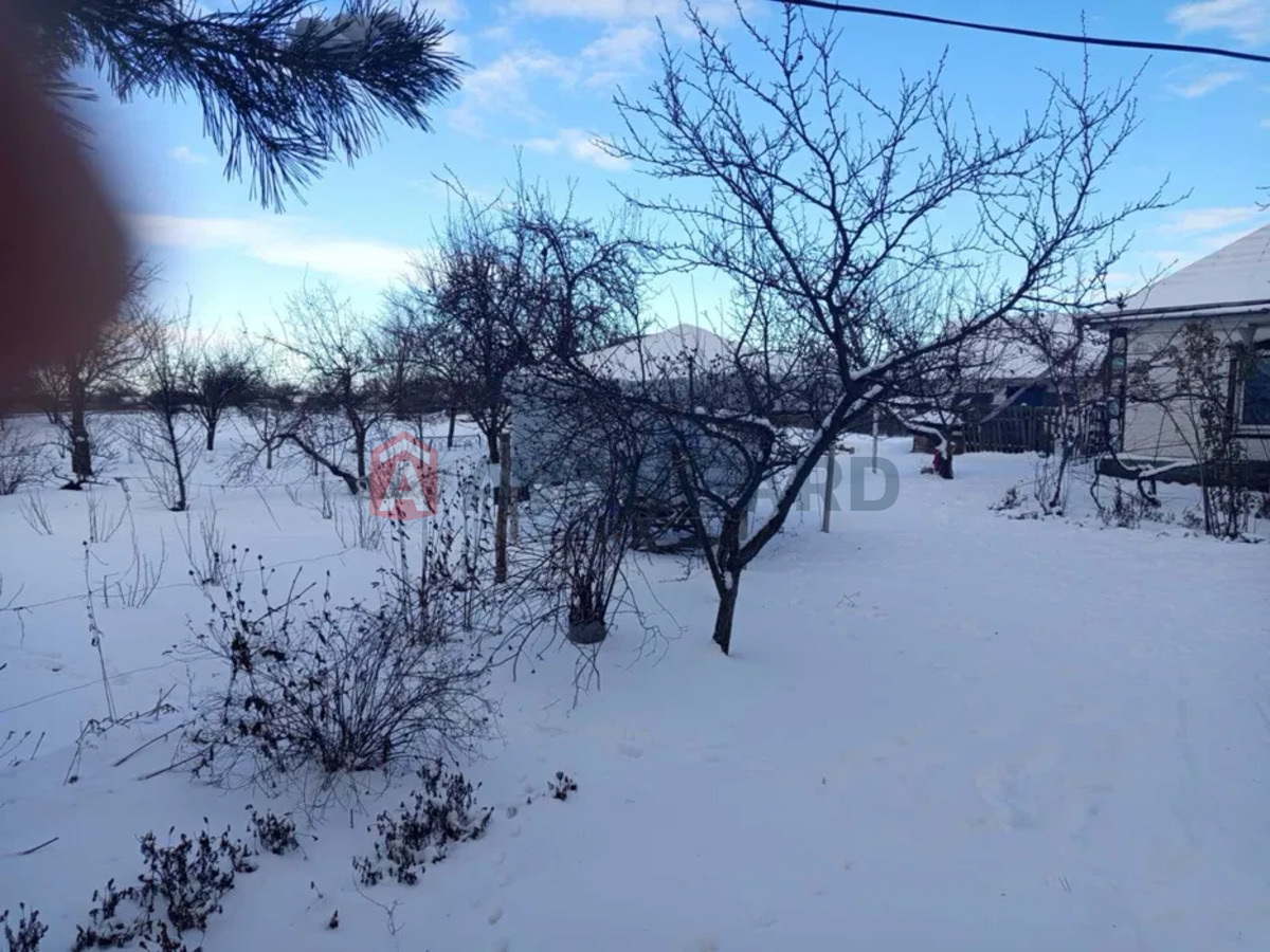 �������, 48 ��.�. ���� 4