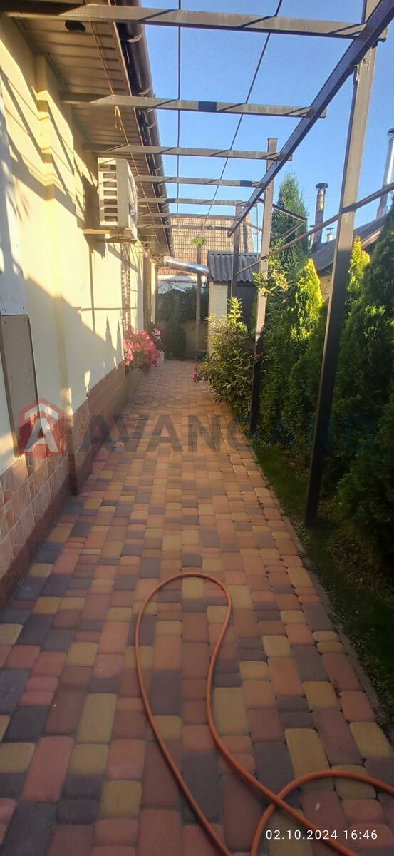 �������, 70 ��.�. ���� 3