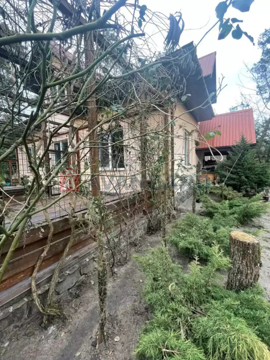 216 ��.�. ���� 9