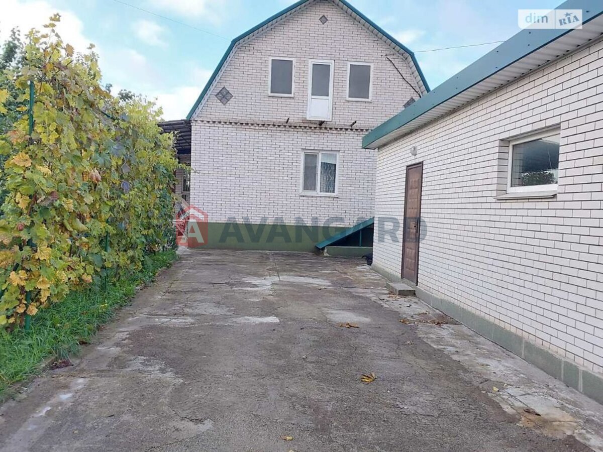 �������, 163 ��.�. ���� 8