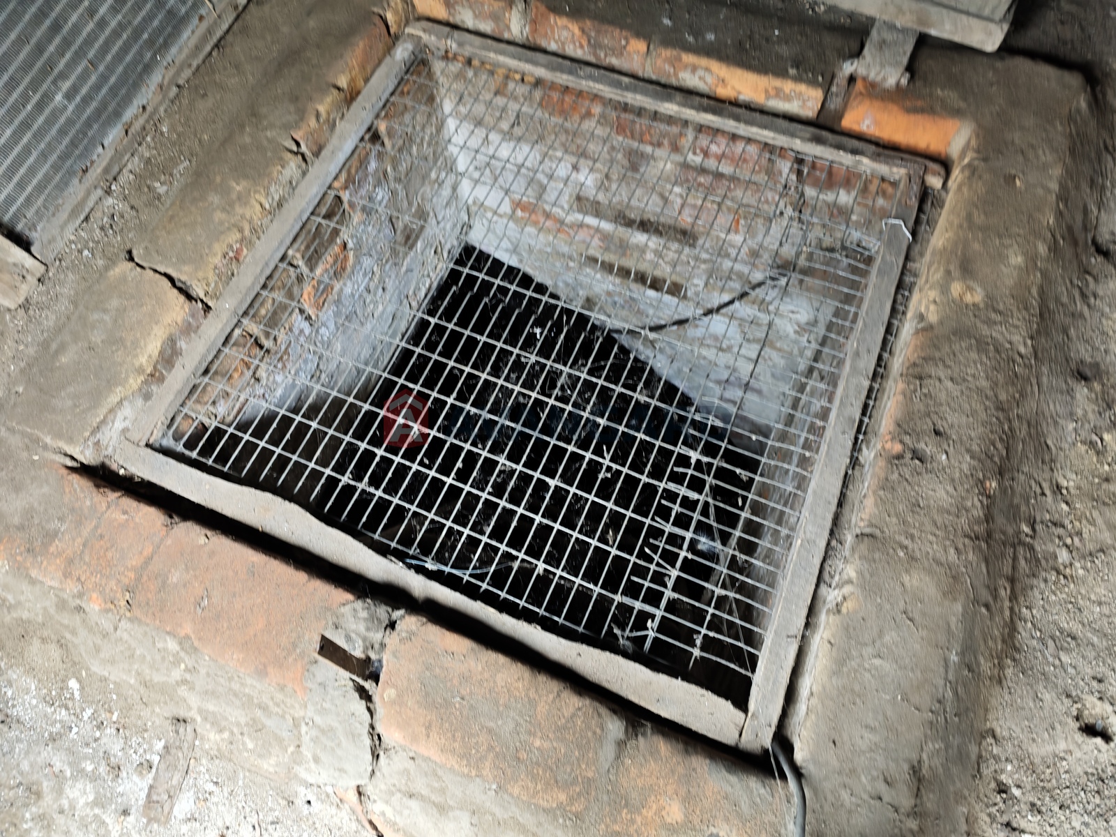 �������, 98 ��.�. ���� 3