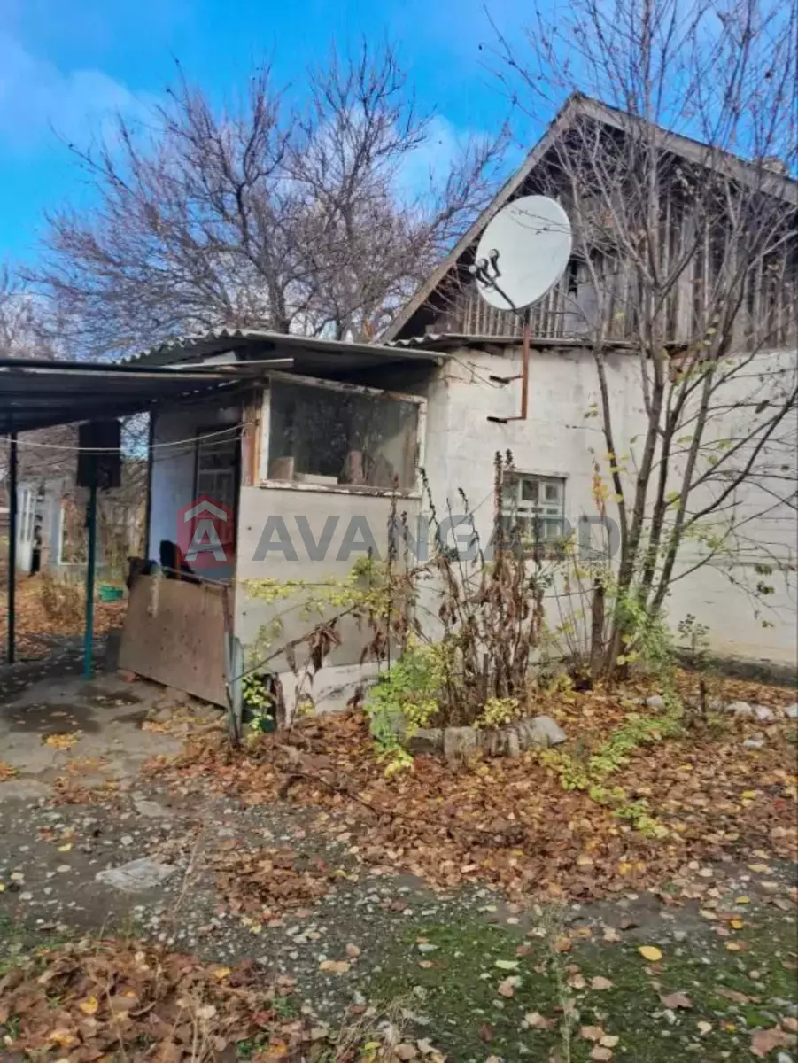 ����� ����, 50 ��.�. ���� 18