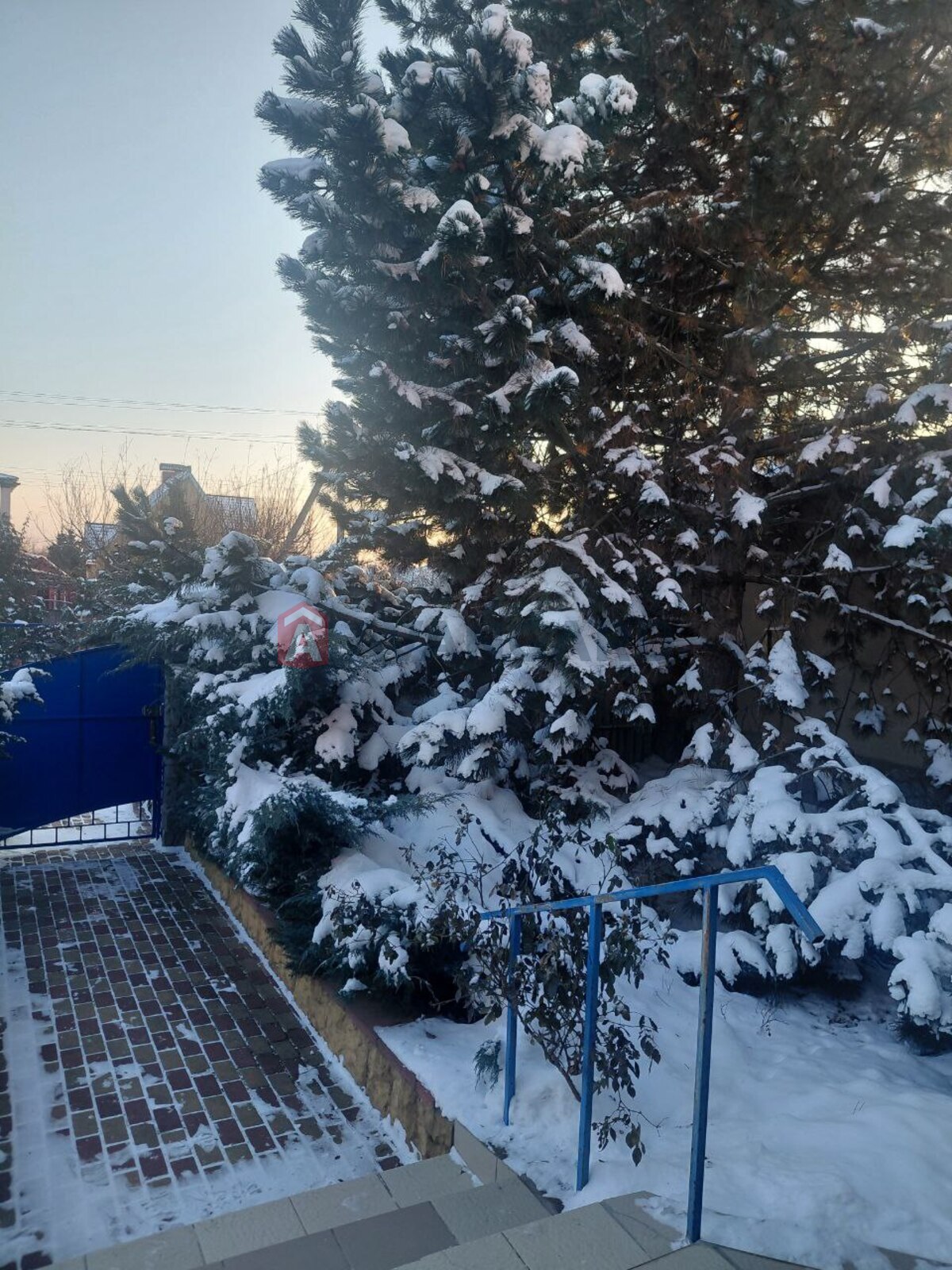 �������, 225 ��.�. ���� 7