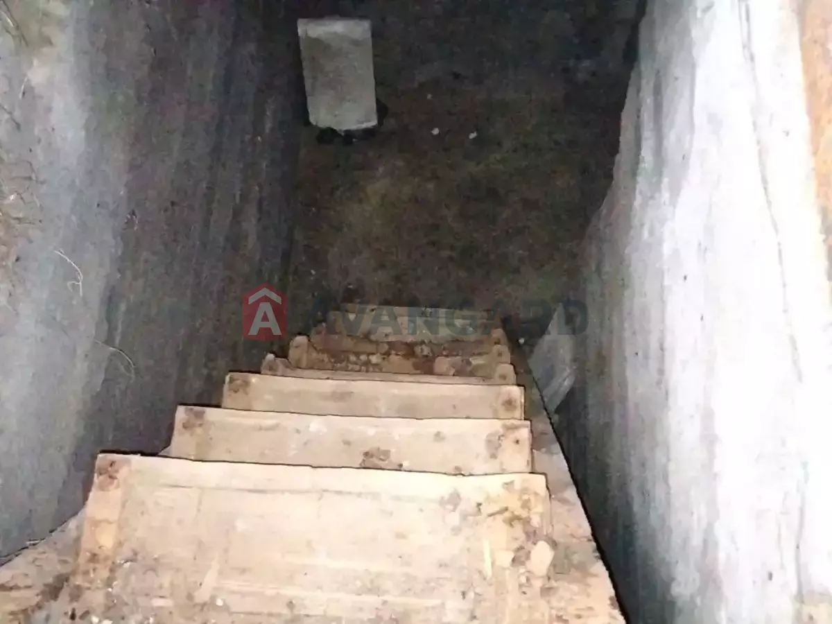 �������, 44 ��.�. ���� 24