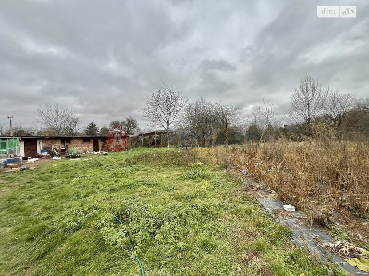 �������, 77 ��.�. ���� 25