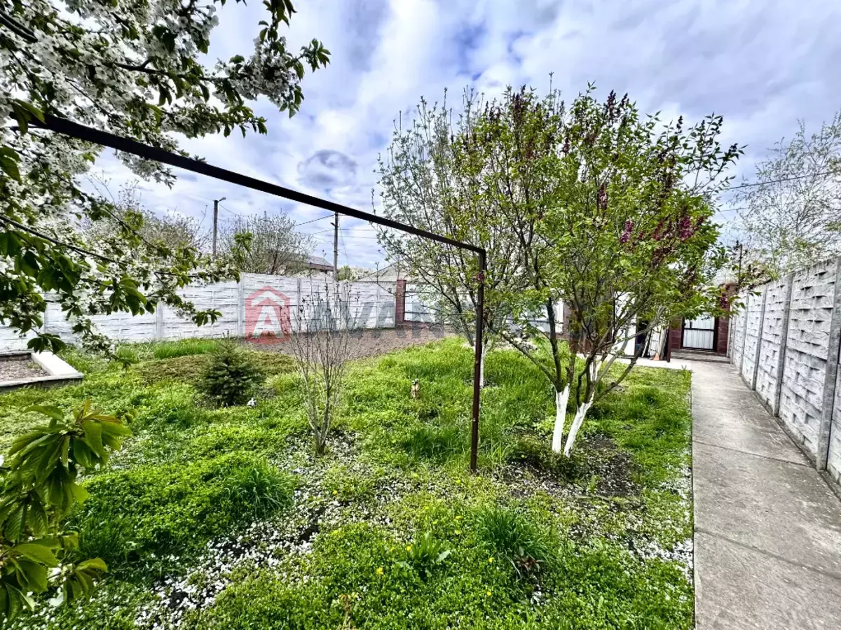 �������, 55 ��.�. ���� 7