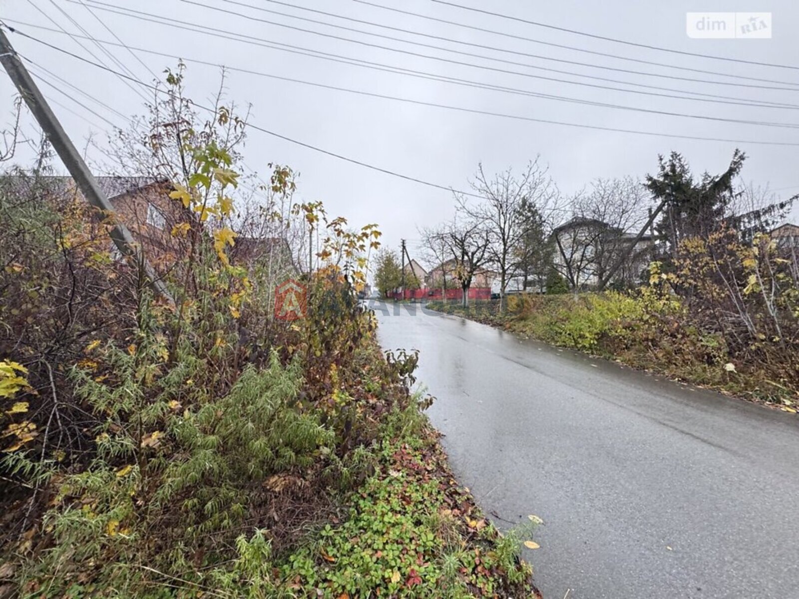 250 ��.�. ���� 6