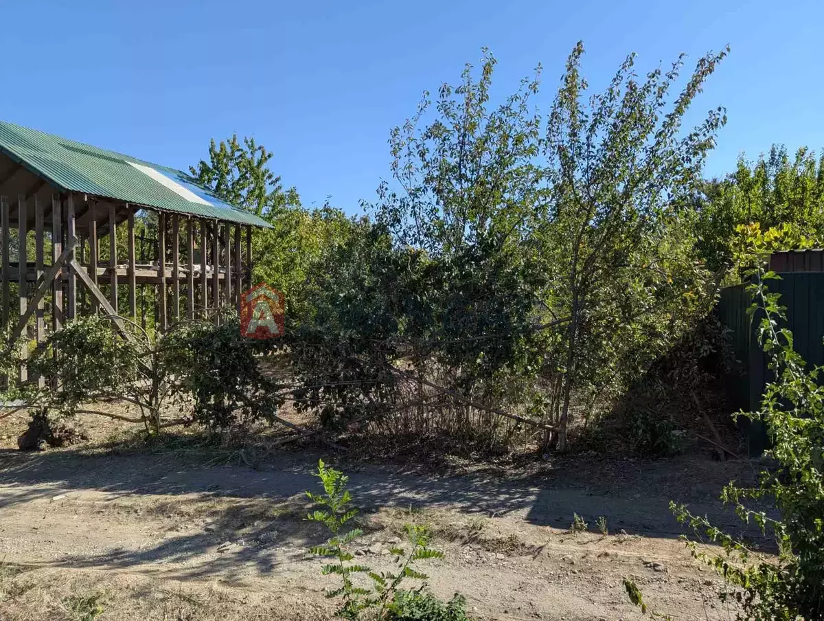 ����, 92 ��.�. ���� 7