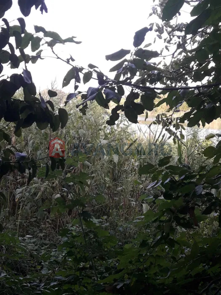 �������, 150 ��.�. ���� 8