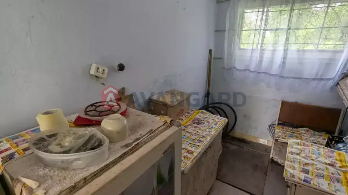 ����, 29 ��.�. ���� 12