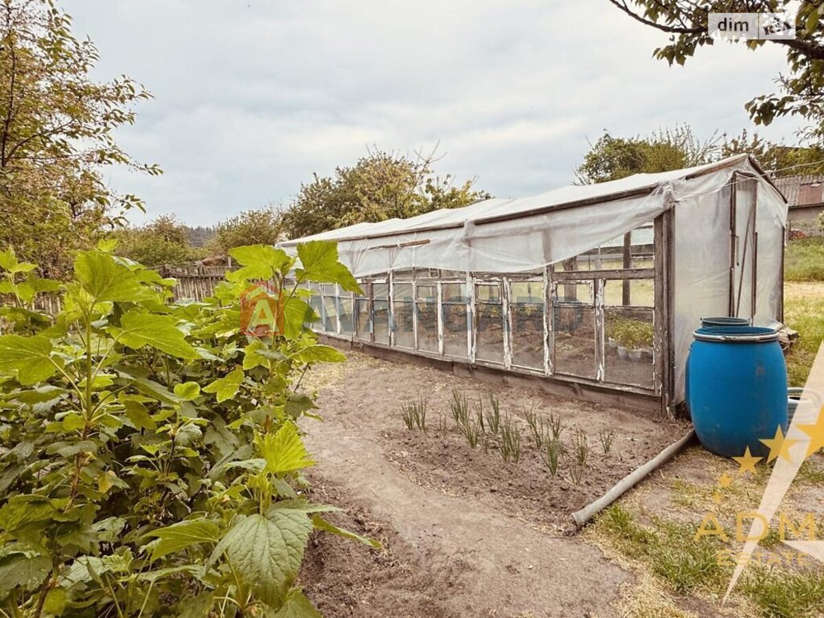 ����� ����, 104 ��.�. ���� 14