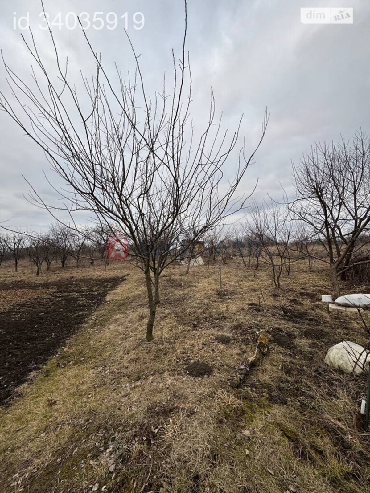 �������, 23 ��.�. ���� 10