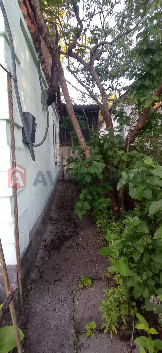 ����, 23 ��.�. ���� 6