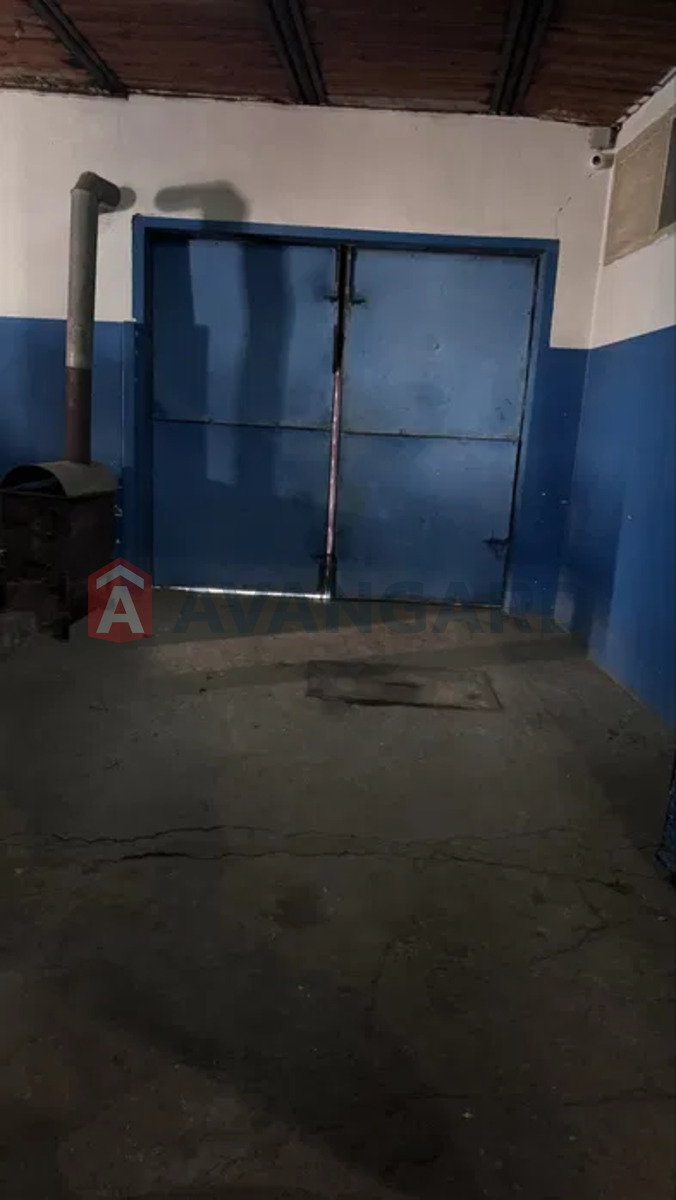 �������, 65 ��.�. ���� 19