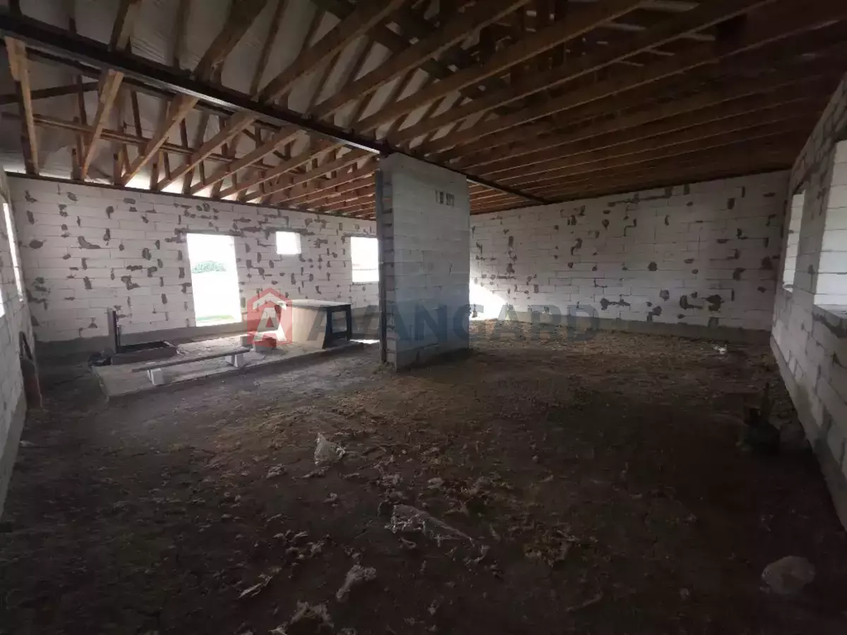 �������, 100 ��.�. ���� 15