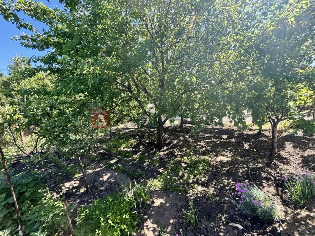 25 ��.�. ���� 4