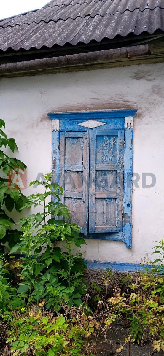 �������, 50 ��.�. ���� 10