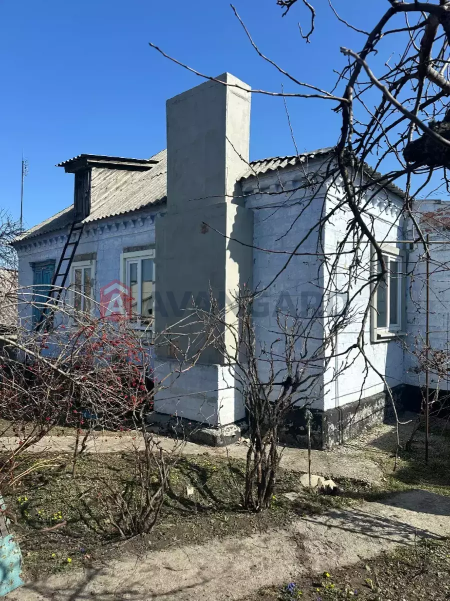 �������, 65 ��.�. ���� 1