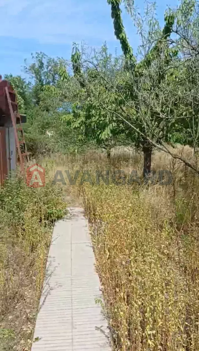 ����, 30 ��.�. ���� 8