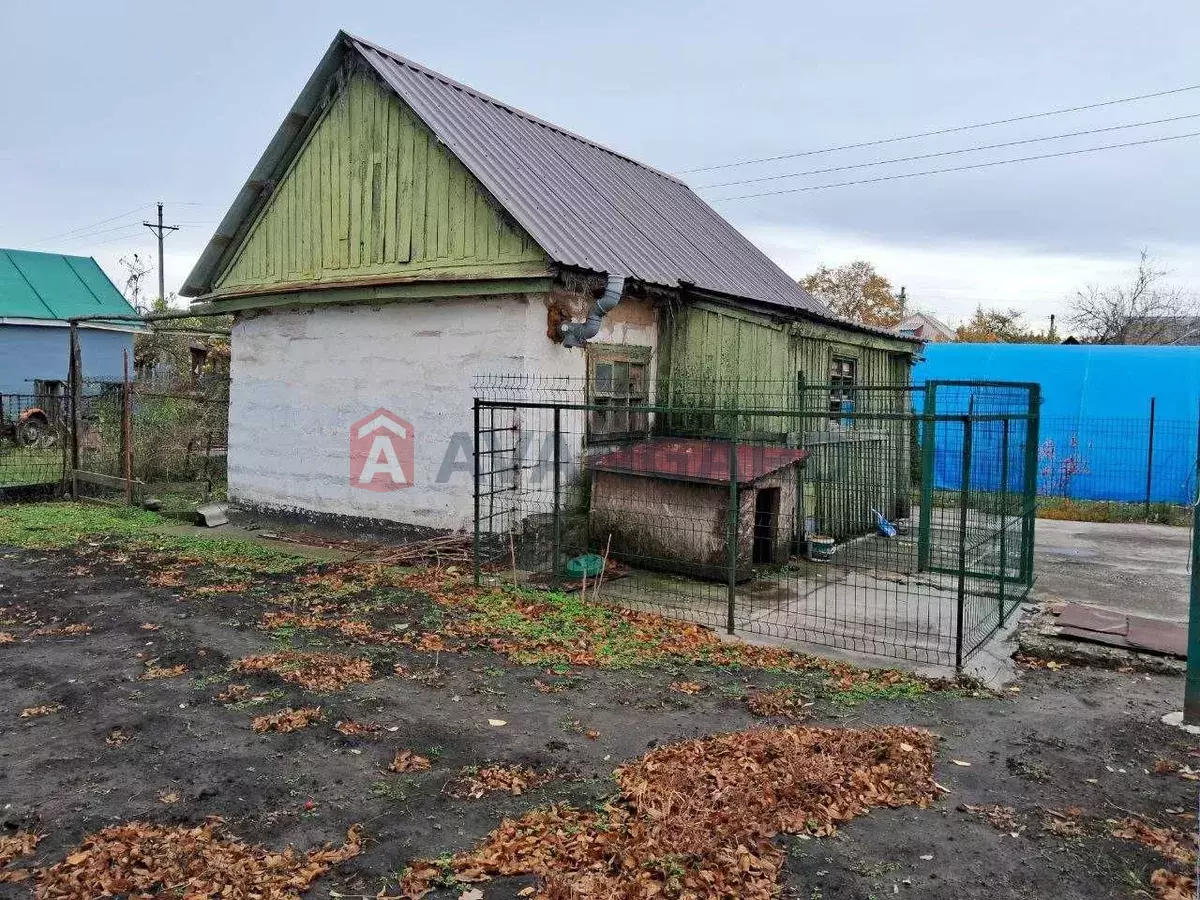 ���, 55 ��.�. ���� 5