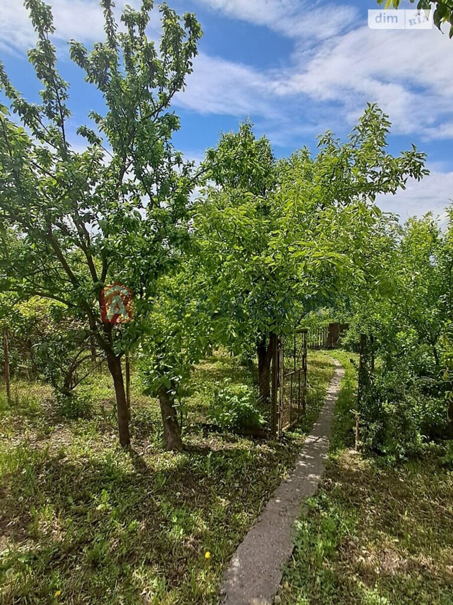 �������, 90 ��.�. ���� 5