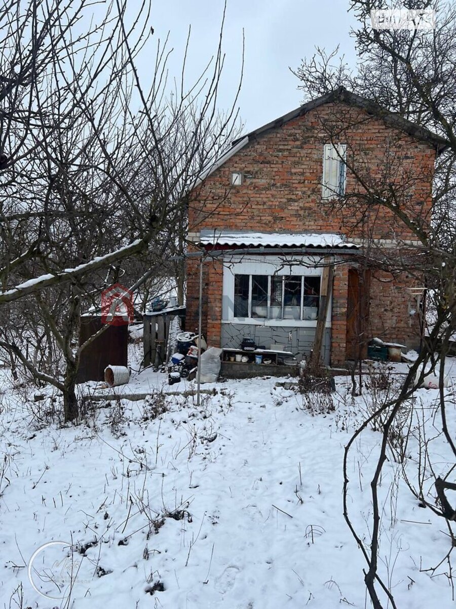 �������, 50 ��.�. ���� 1