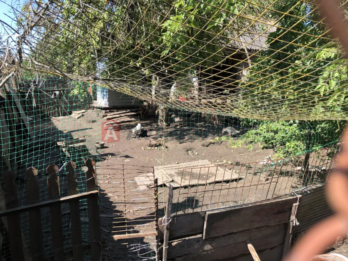 �������, 89 ��.�. ���� 22