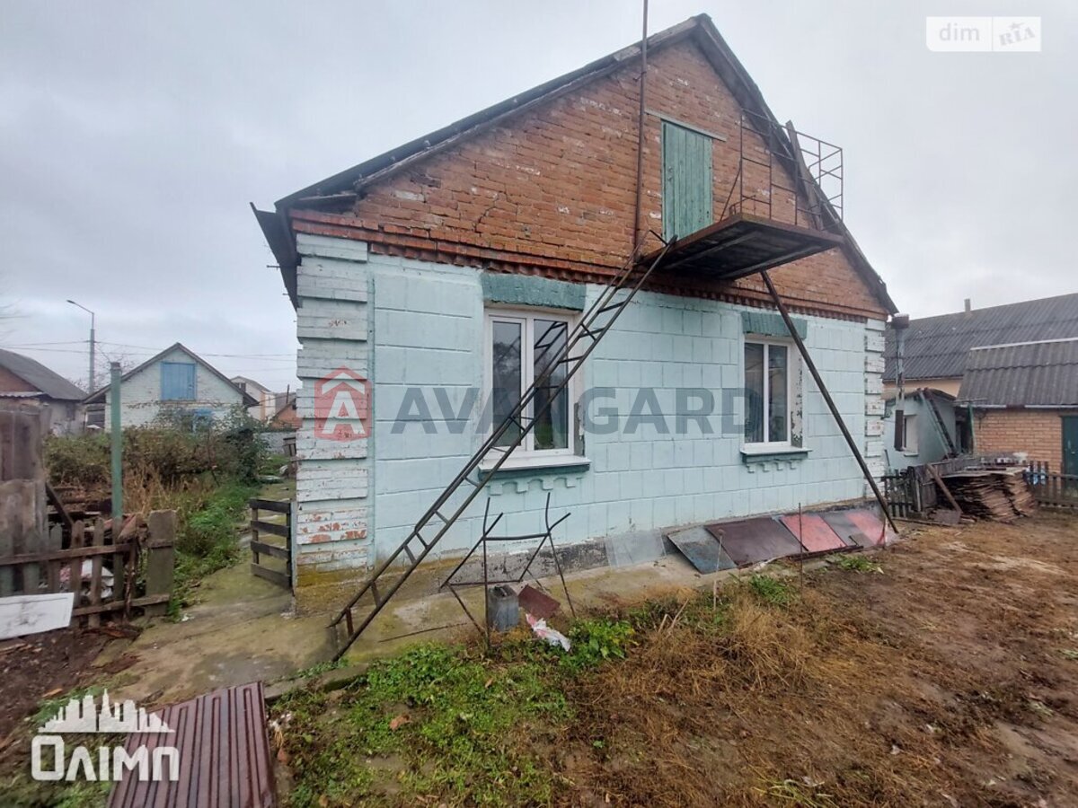 ����� ����, 36 ��.�. ���� 7