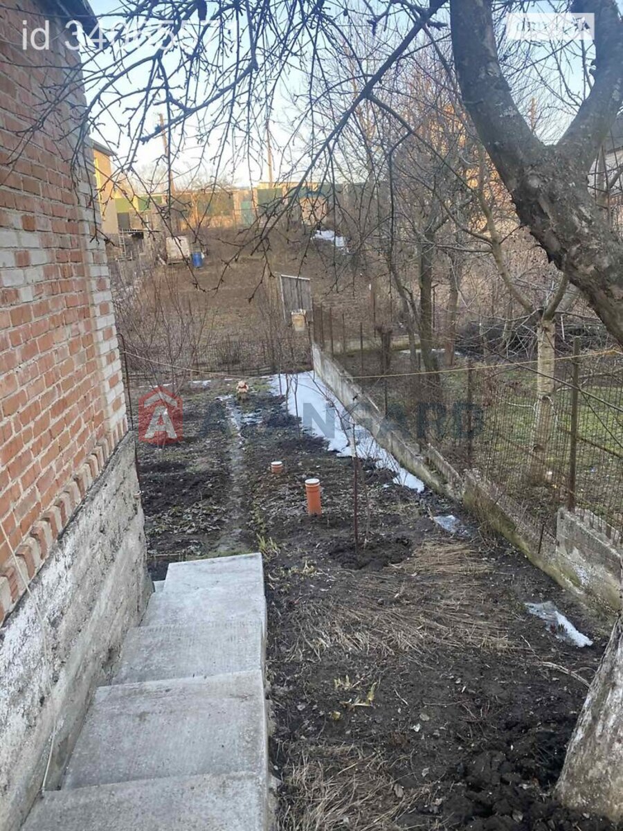 ����, 66 ��.�. ���� 3