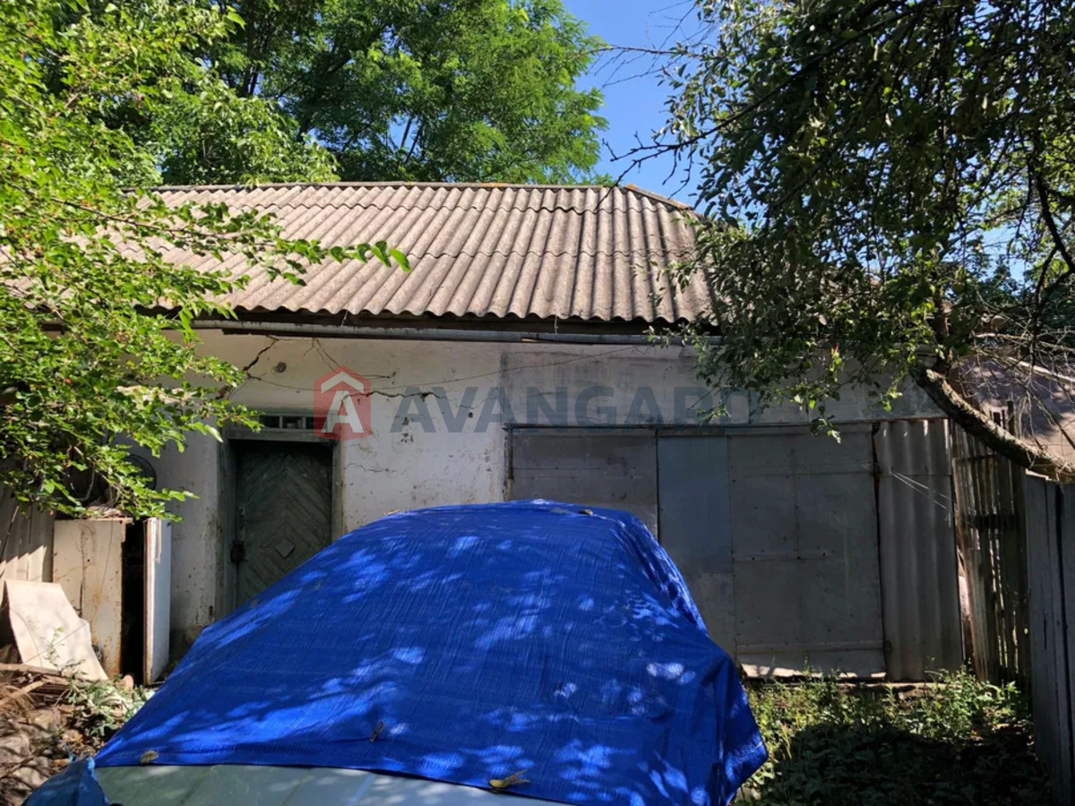 �������, 89 ��.�. ���� 19