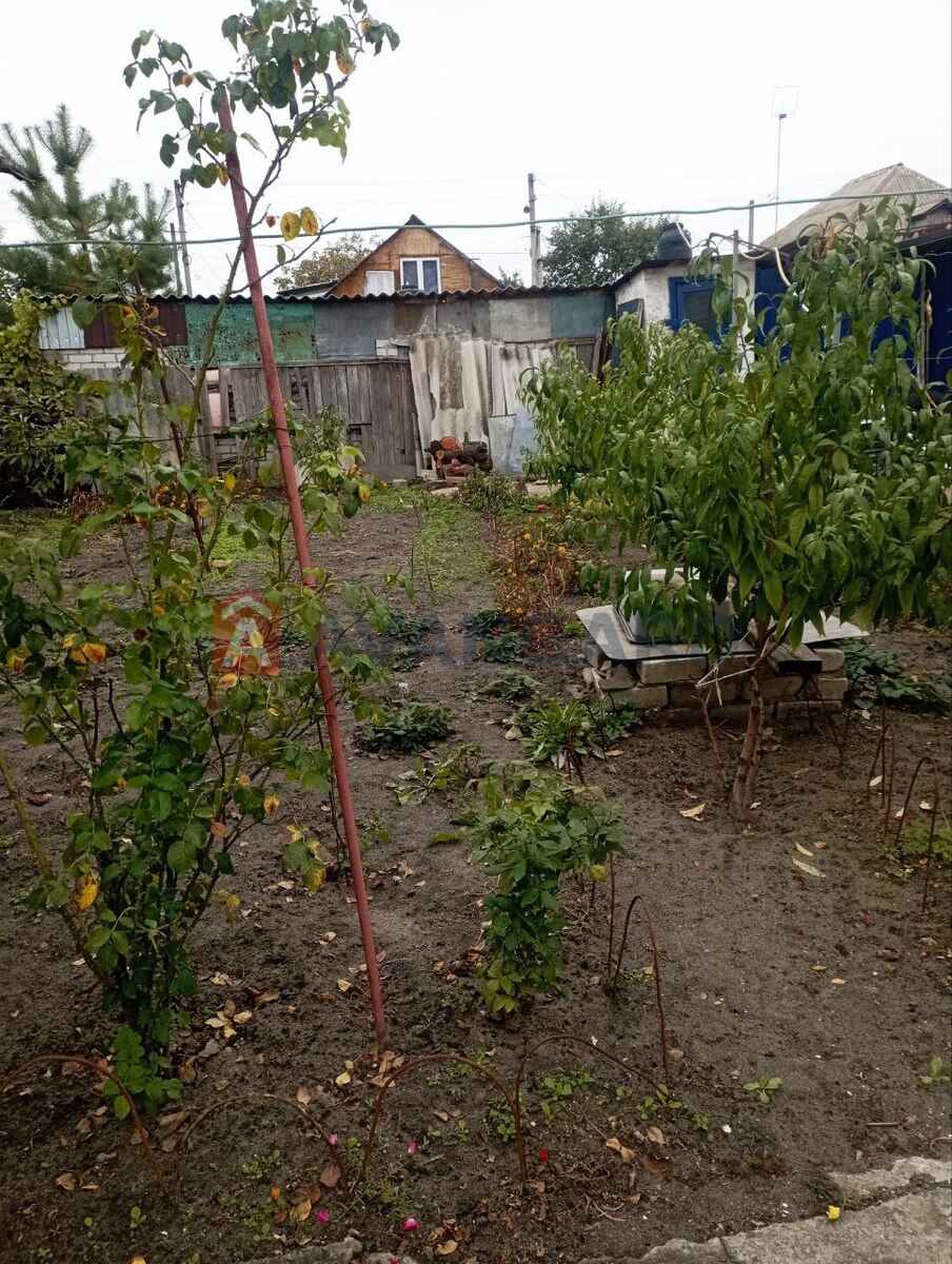 �������, 92 ��.�. ���� 3