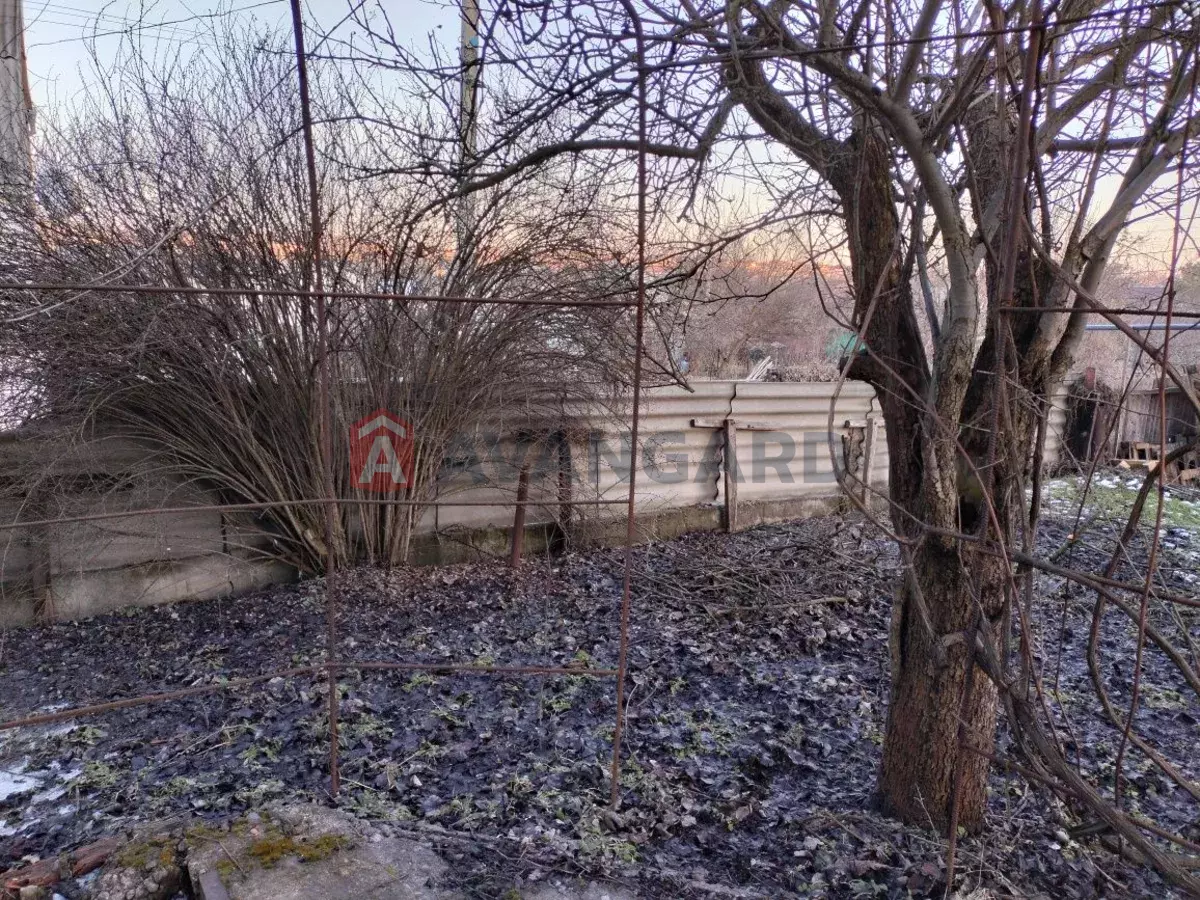 ����, 40 ��.�. ���� 5