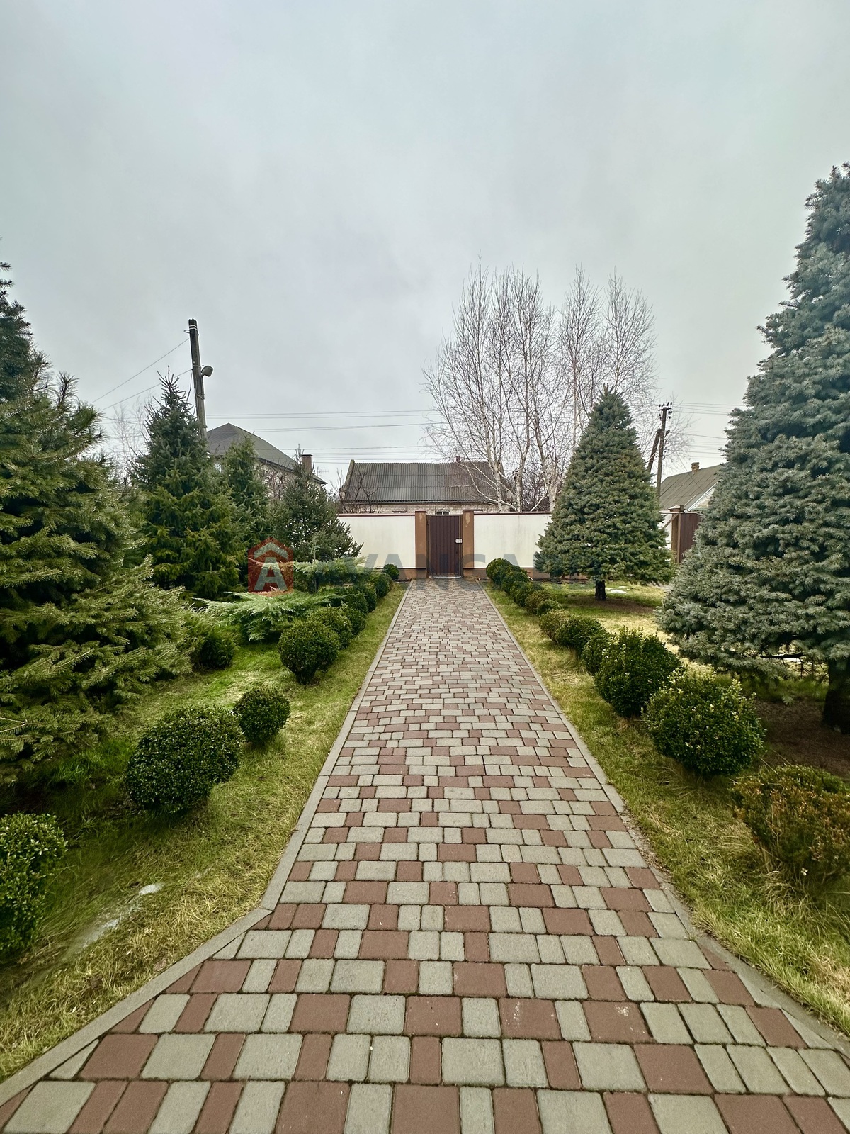 �������, 246 ��.�. ���� 5