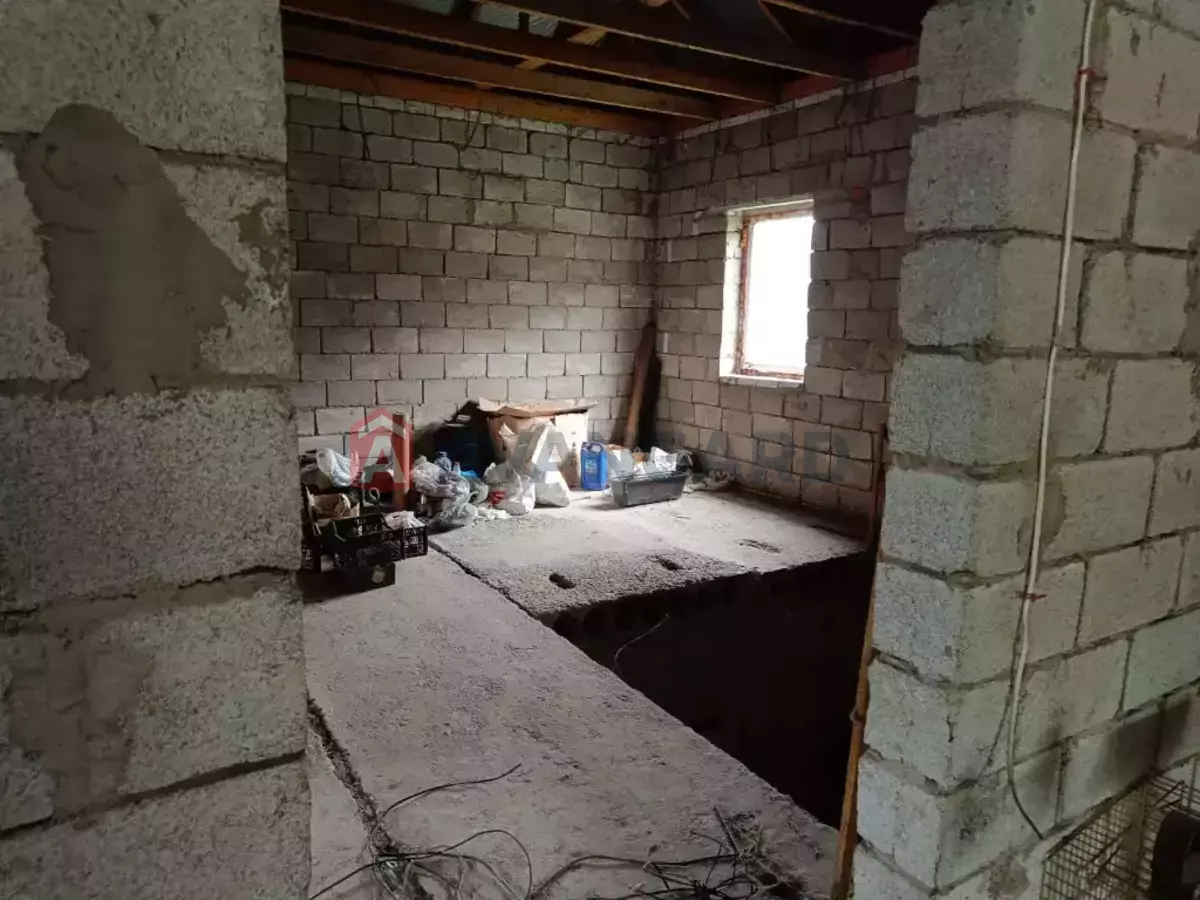 �������, 230 ��.�. ���� 8