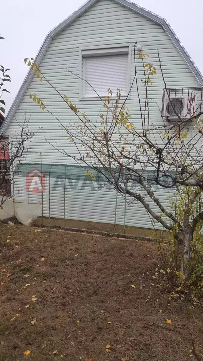 ����, 100 ��.�. ���� 3