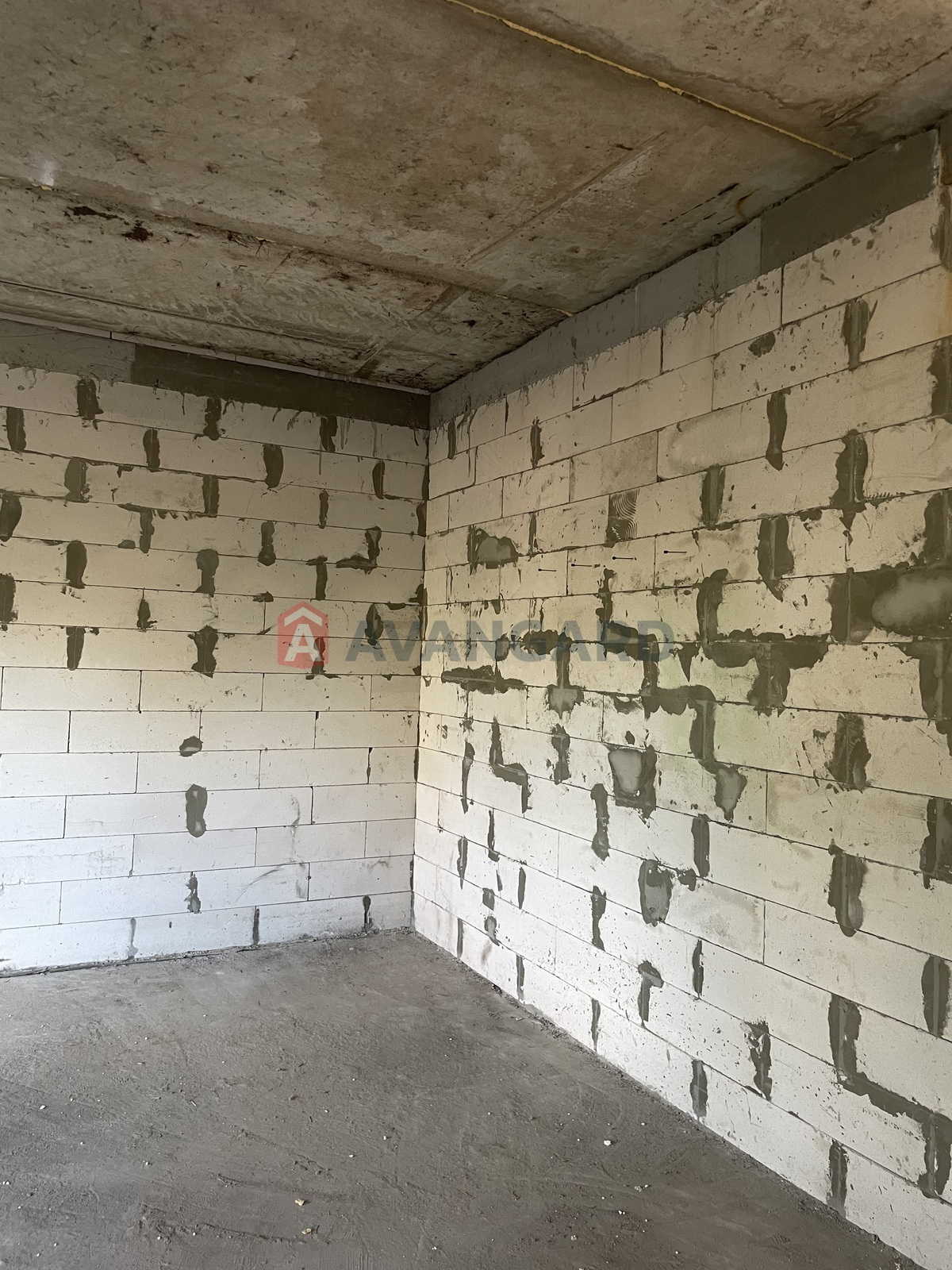 �������, 163 ��.�. ���� 8