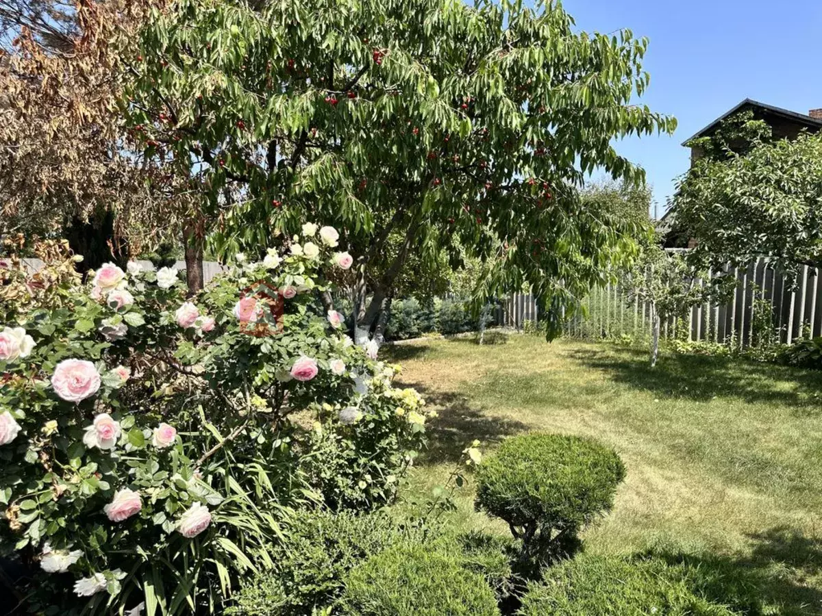 ����, 140 ��.�. ���� 6