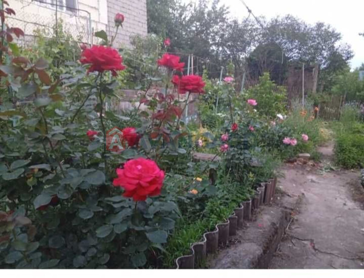 ������� �������, 38 ��.�. ���� 17