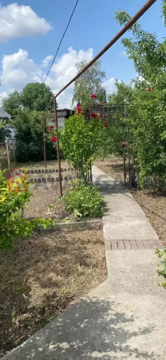 ������� �������, 40 ��.�. ���� 2