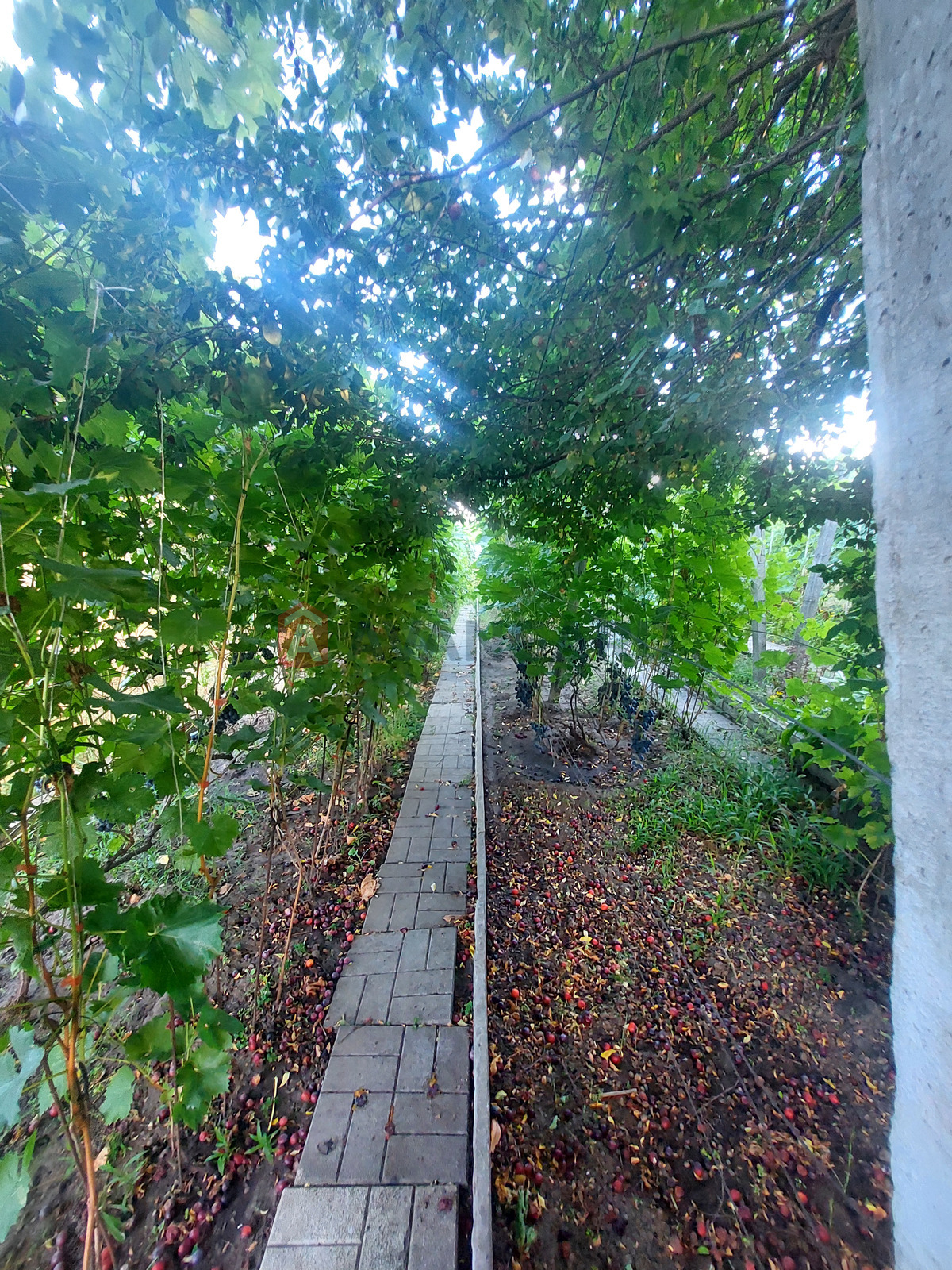 ����, 25 ��.�. ���� 7