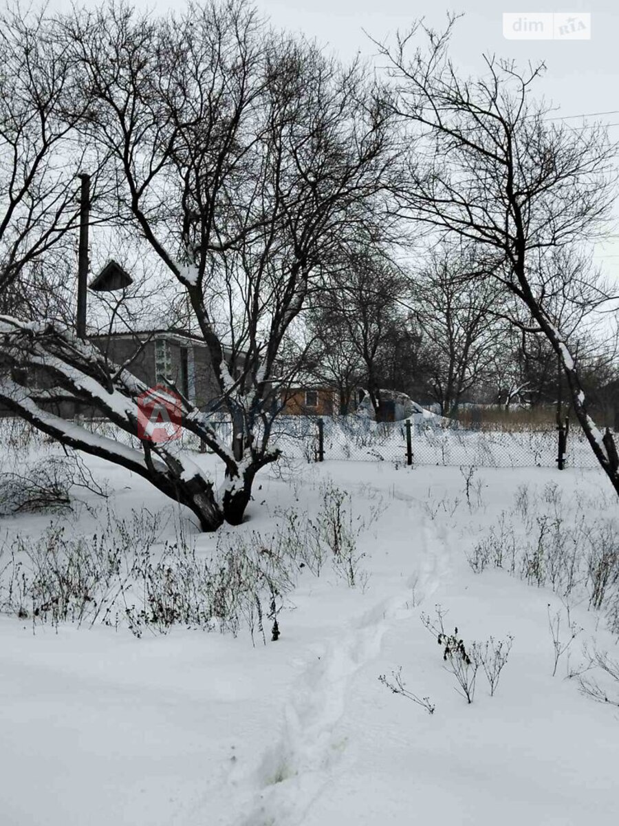 �������, 40 ��.�. ���� 6